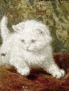 Henriette Ronner-Knip Signed Henriette Ronner painting